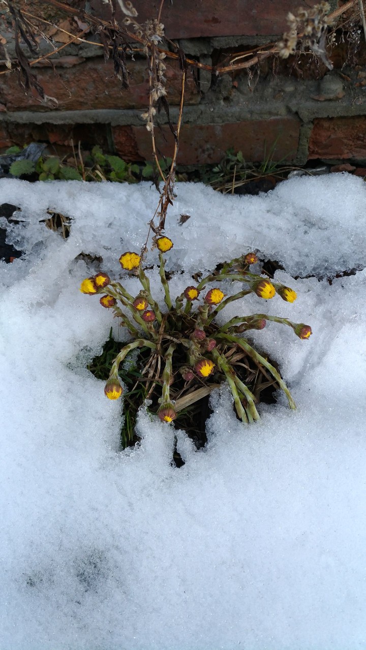 Spring, 18th of April, 2017