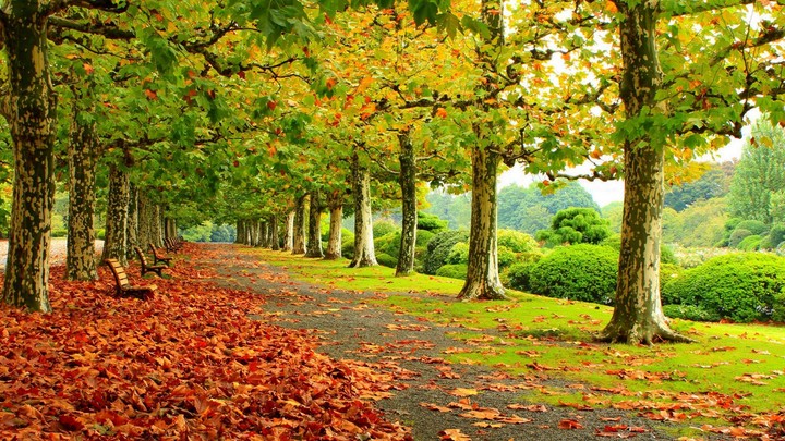 #Nature
