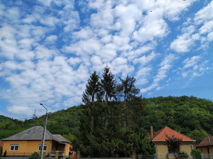 It is the nature!