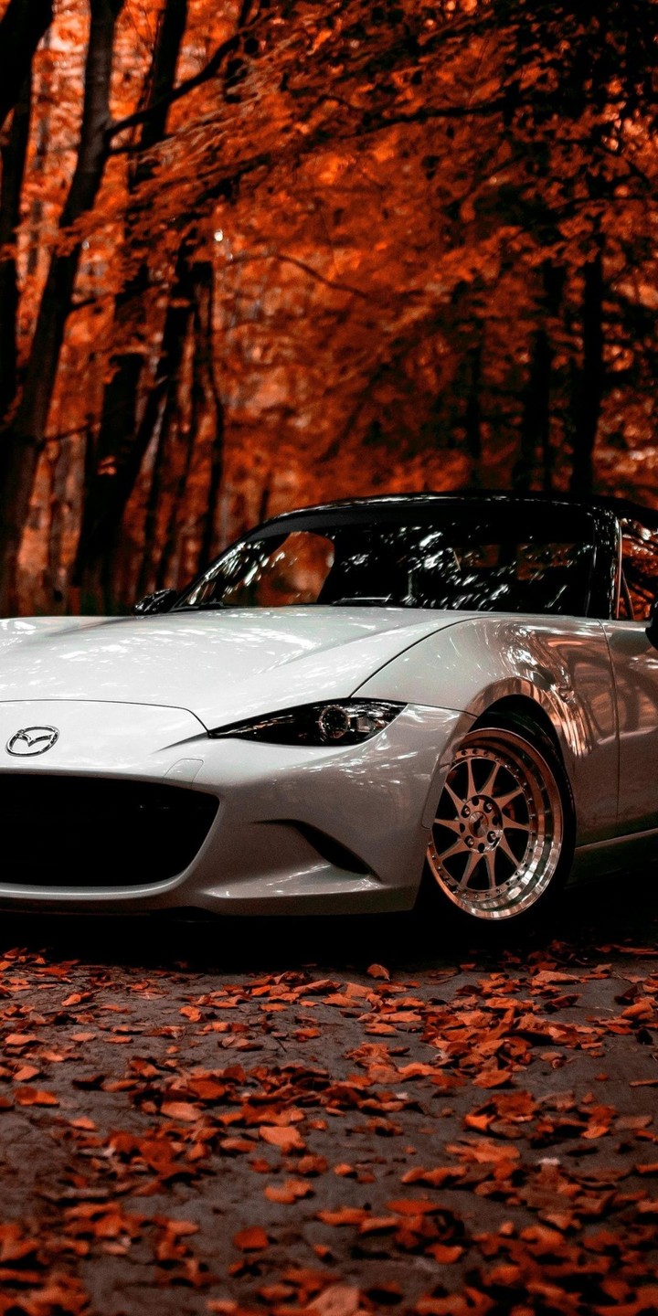 slm
