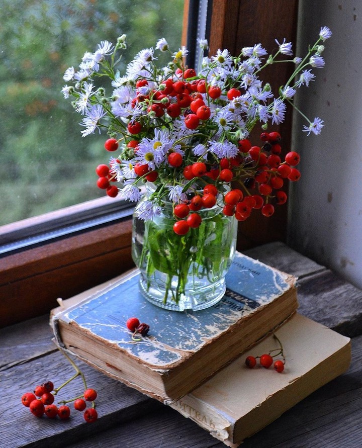 Flores rojas