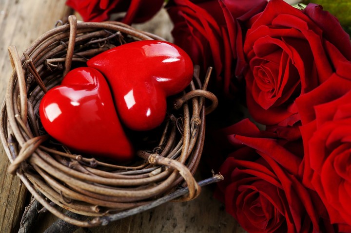 love rose