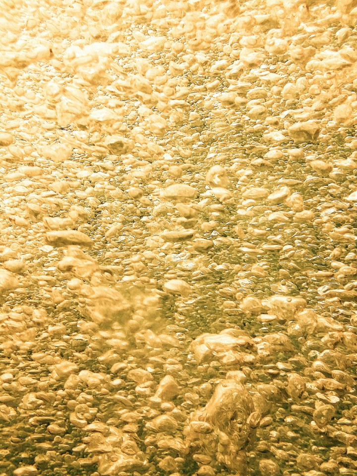 Golden Bubbles
