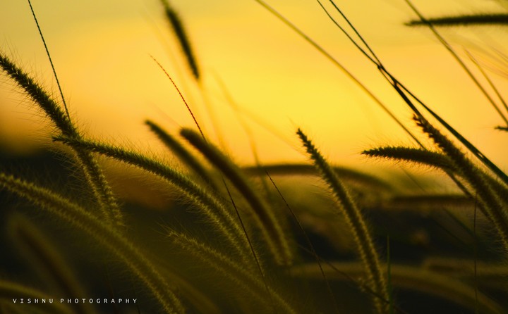 reflection of sun