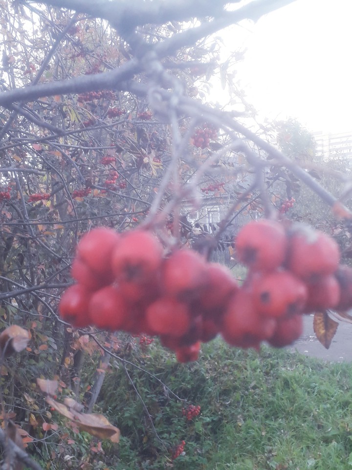 october