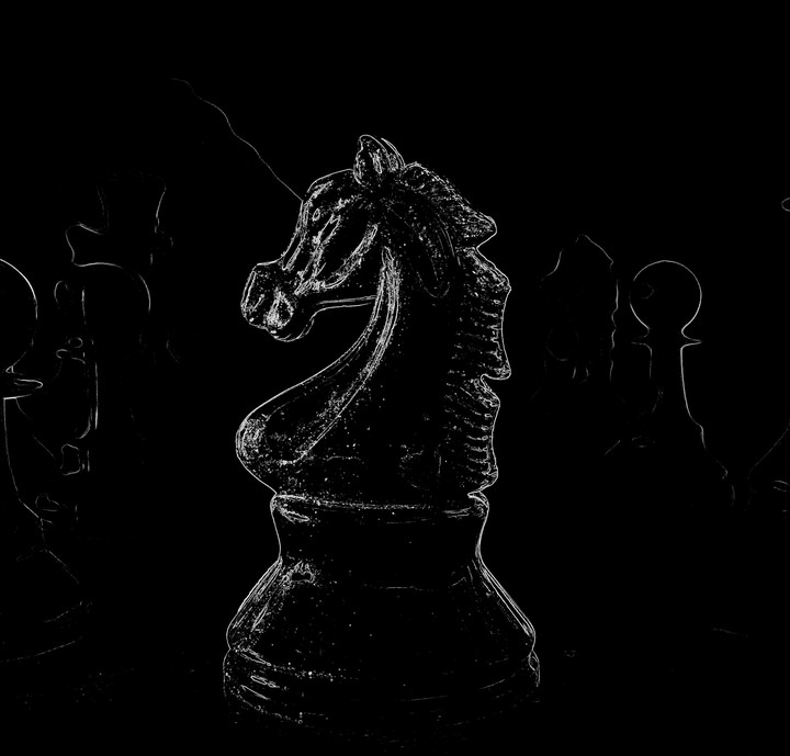 the knight