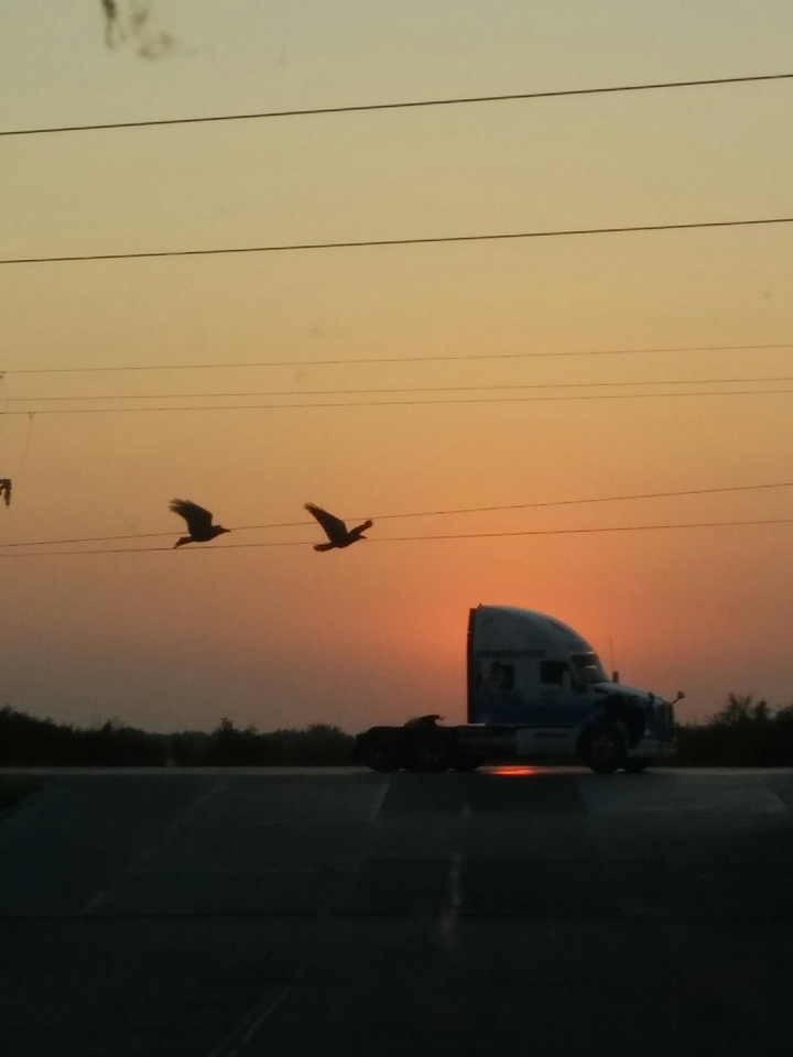 amanecer