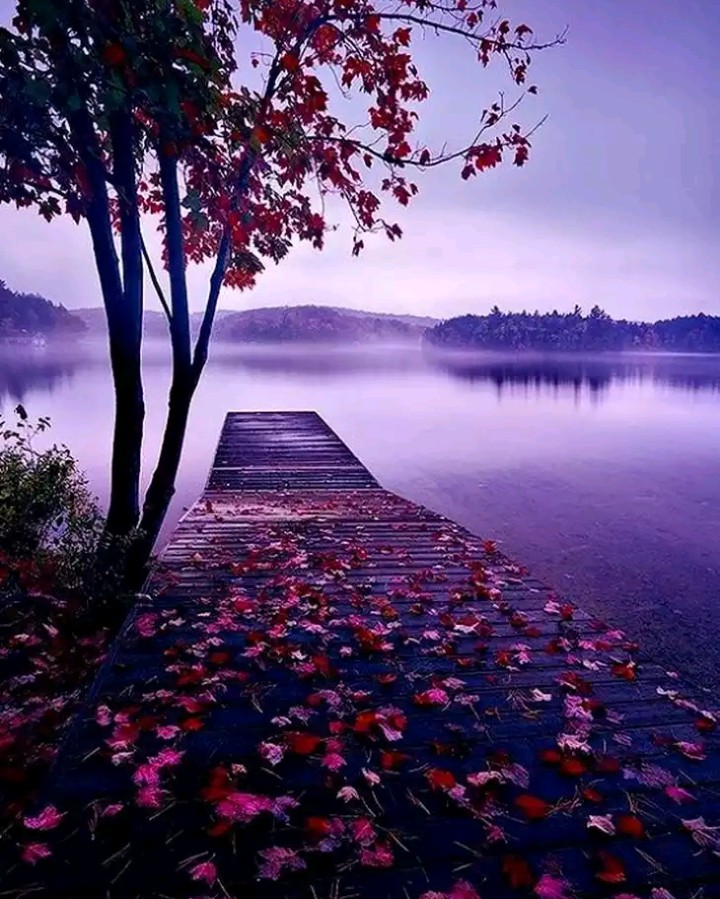 Lovely nature