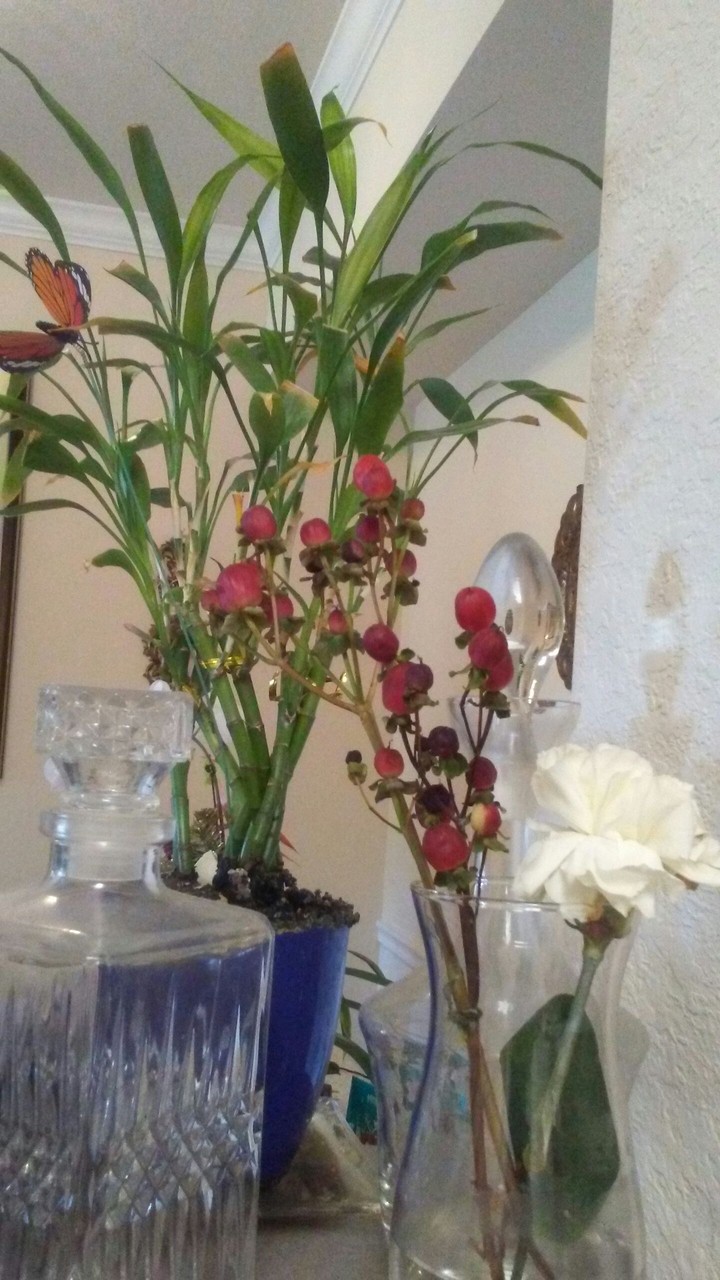 pretty things