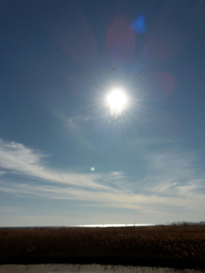 sun