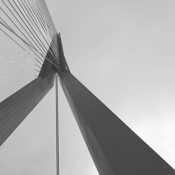 Erasmus brug