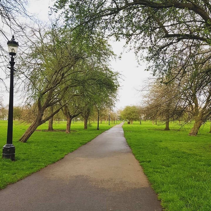 Green path