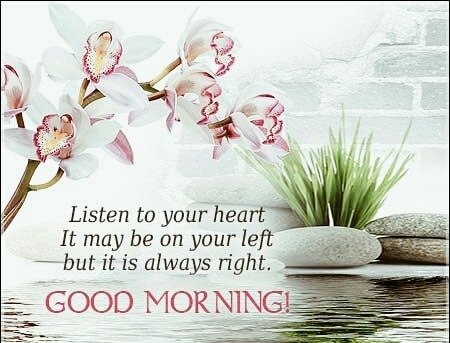 good morning!
