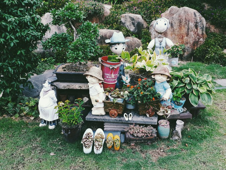 in the garden