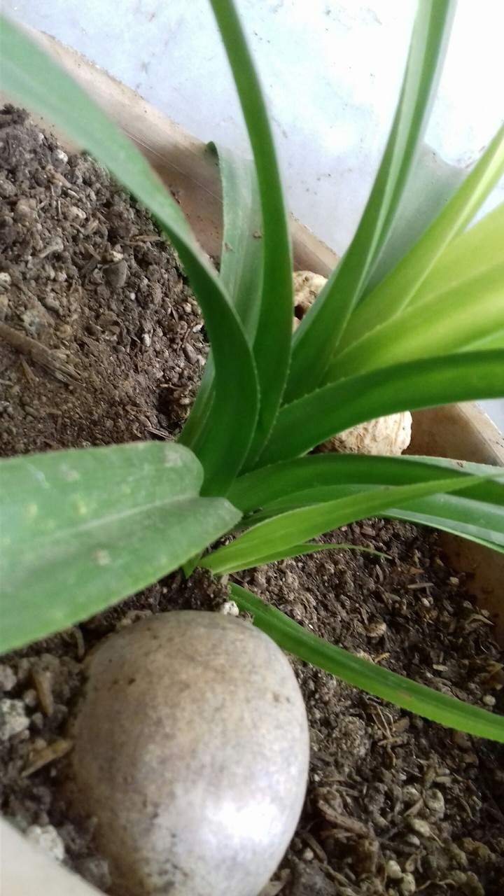 ?