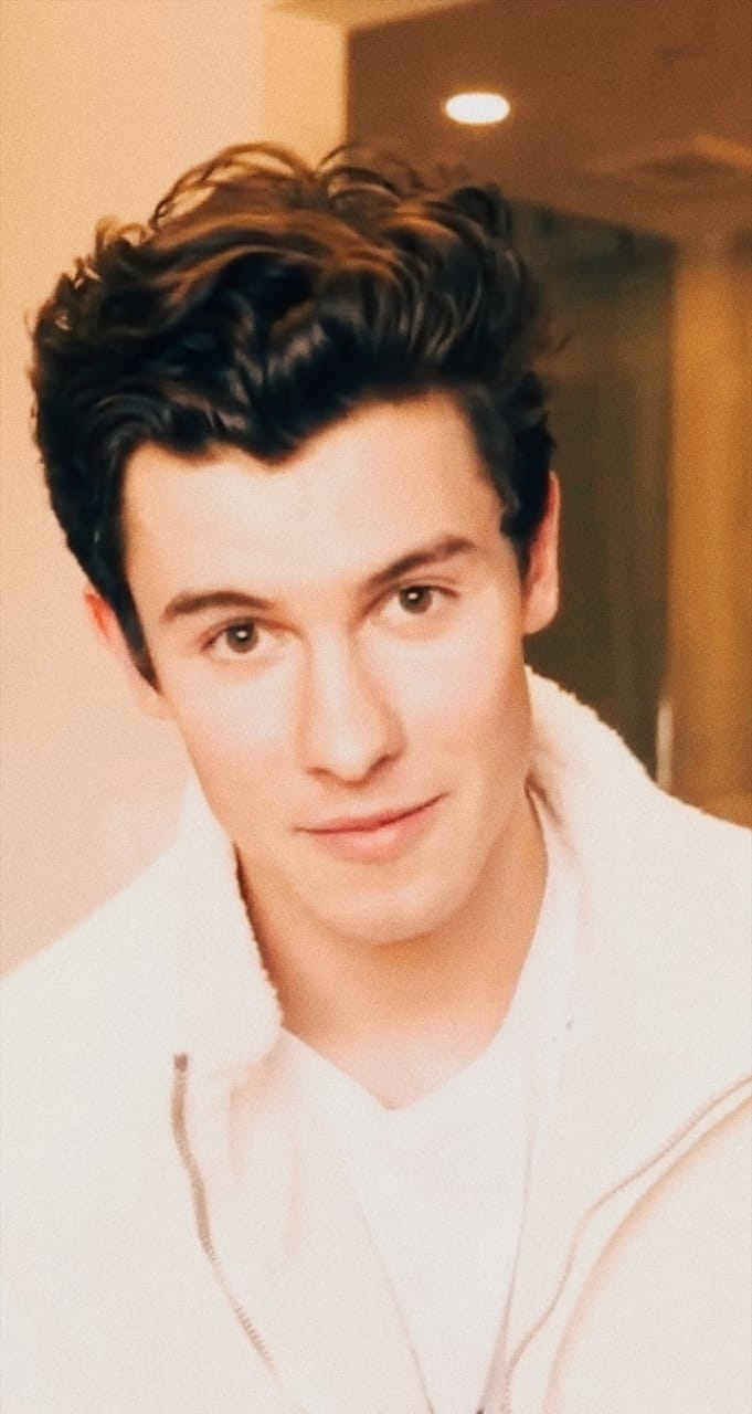 shawn mendes