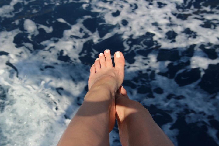 legs