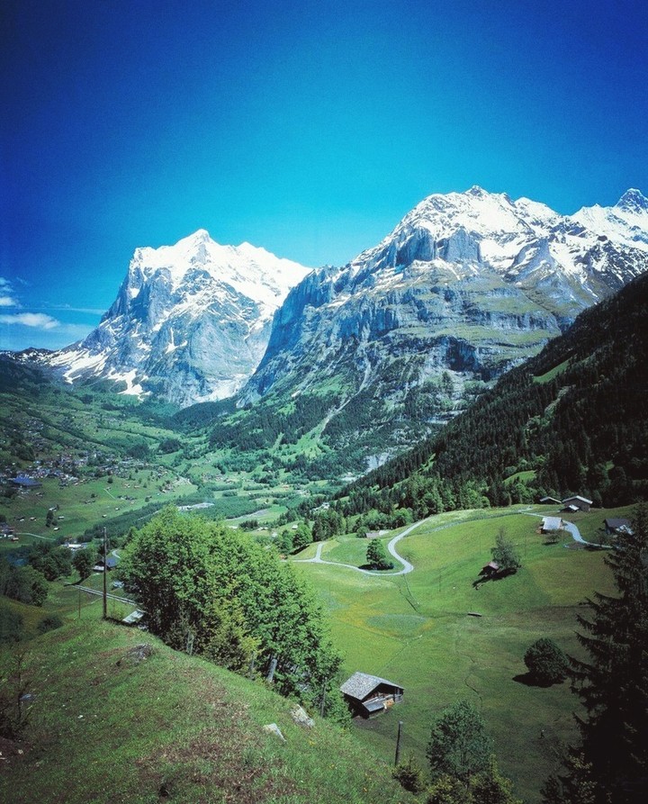 #nature