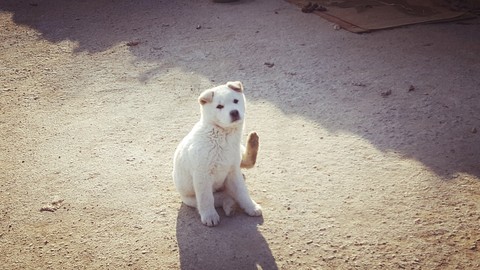 허억