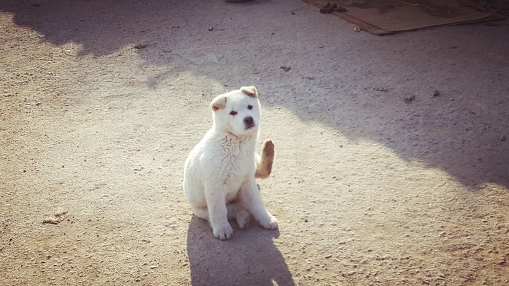 허억