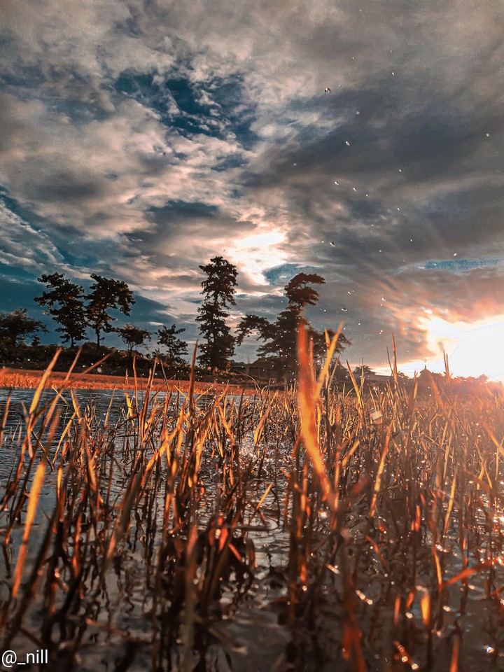 নদীর পার