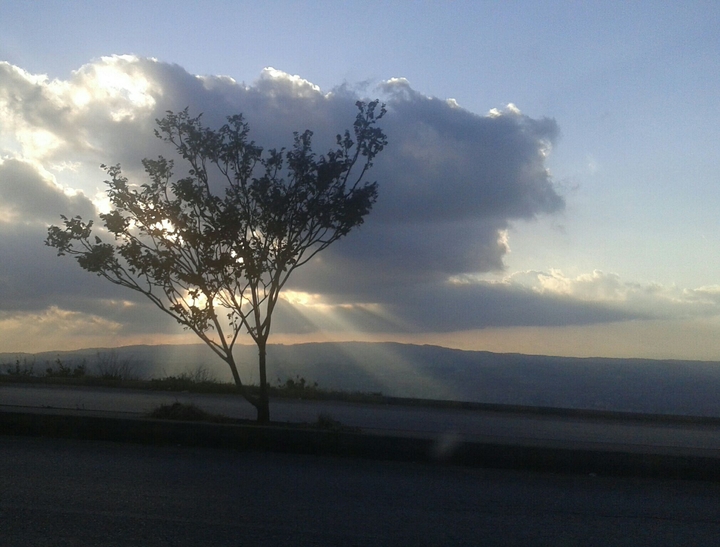 the clouds with tree