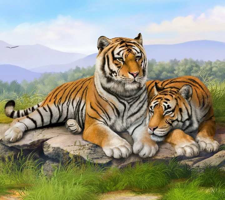 cute cats