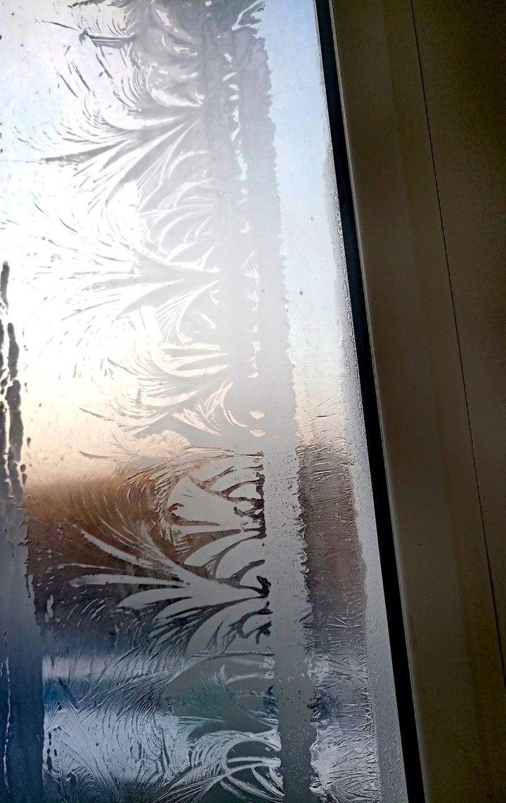 Frozen