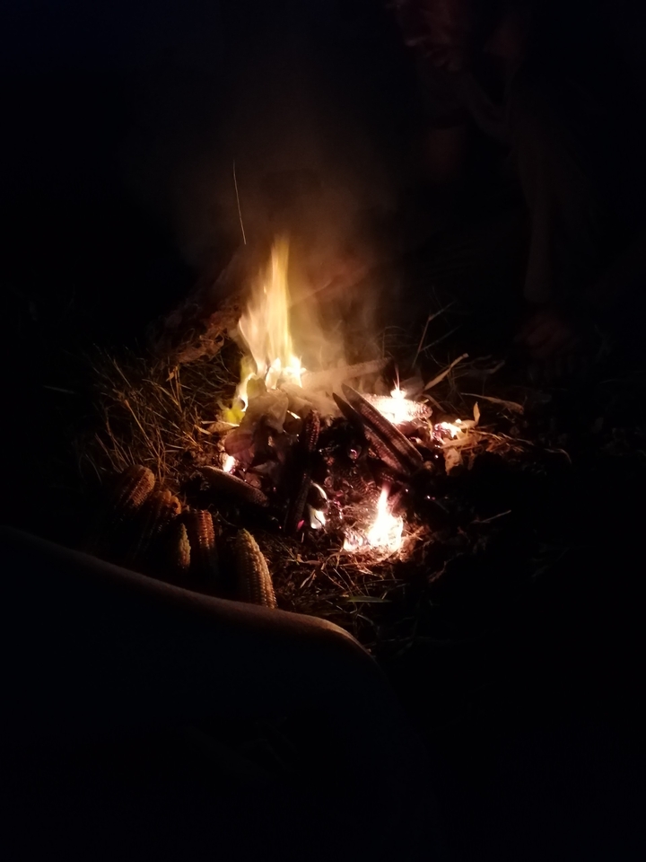fire