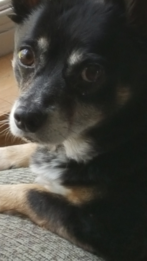 my sweet boy ❤