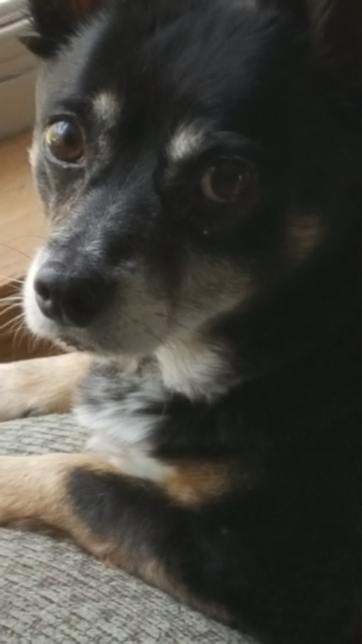 my sweet boy ❤
