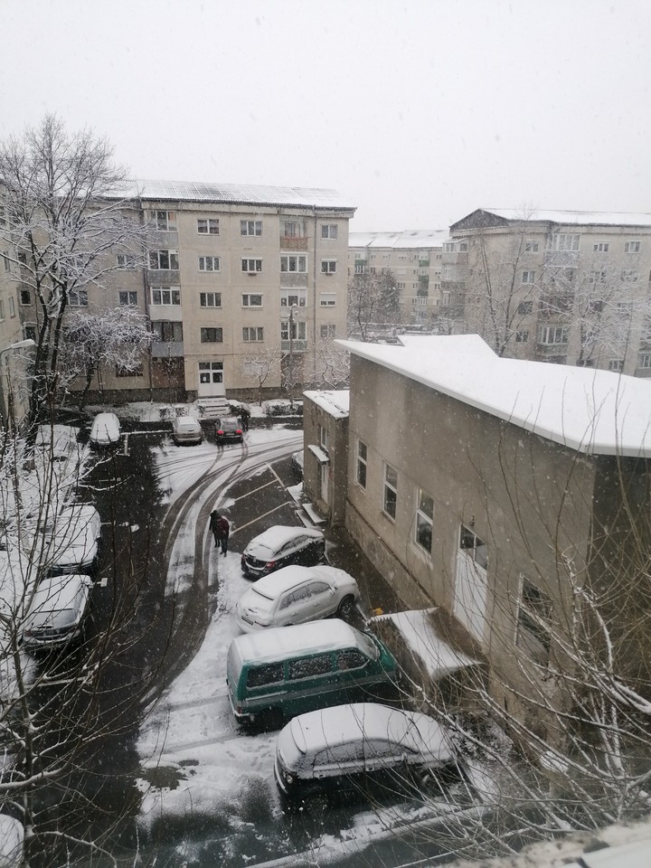 winter