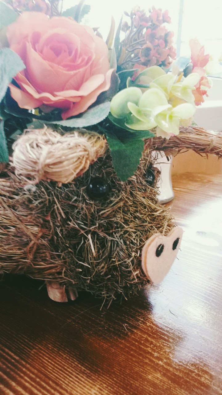 милота