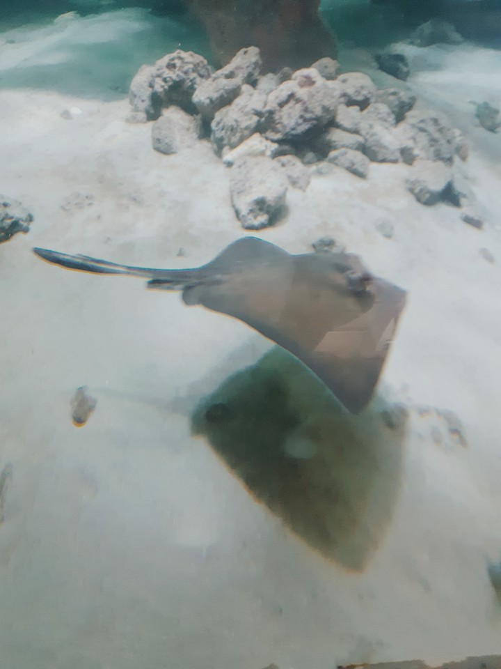agua