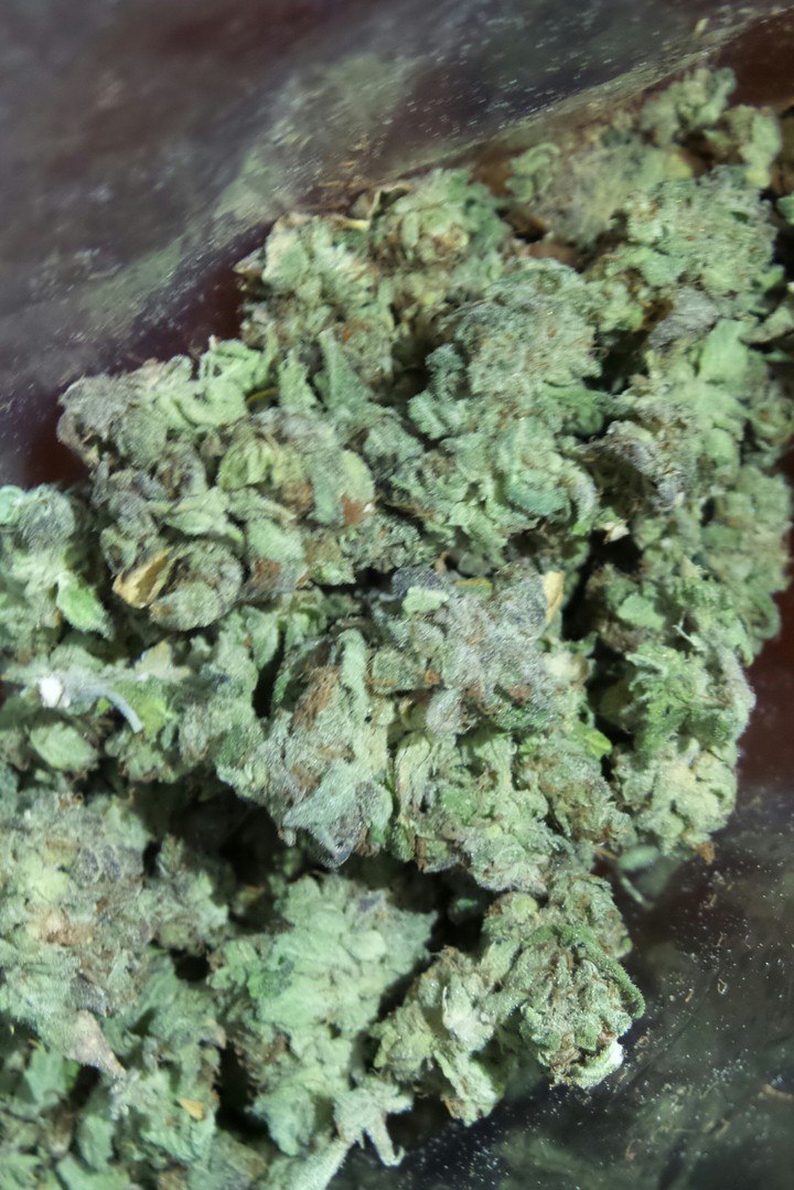 high life