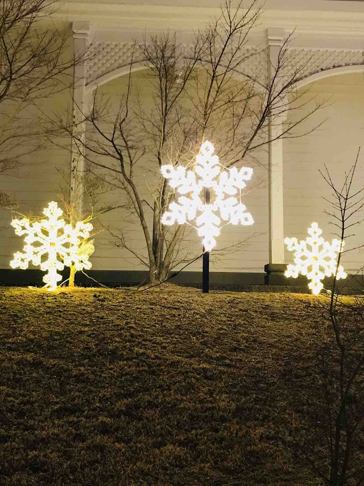 snowflake