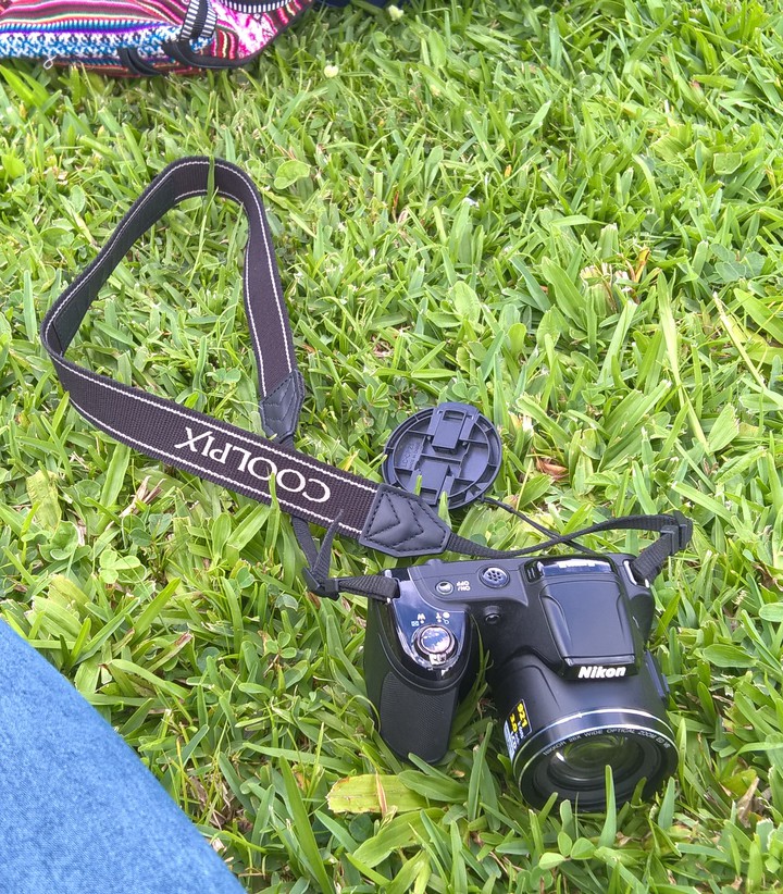 Nikon L810