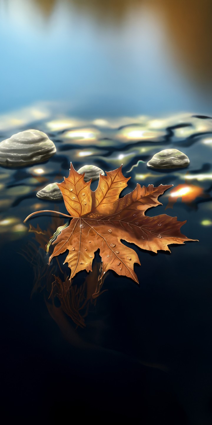 AUTUMN LEAF ON THE WATER
