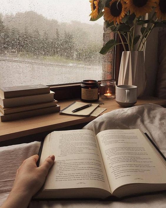 Book