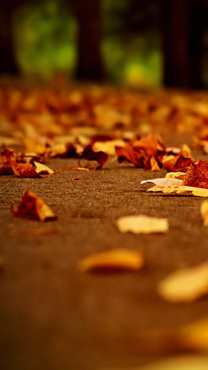 Autums