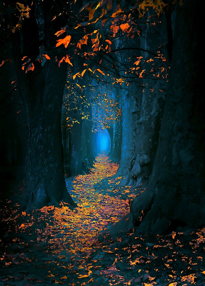 autumn