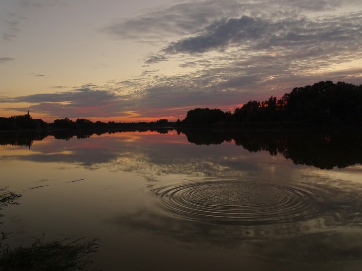 hullám