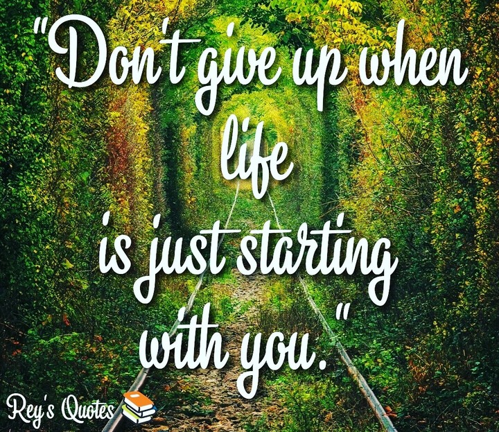 Rey's Quotes