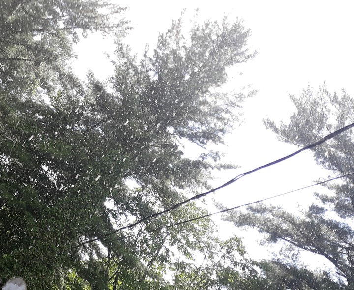 Rain