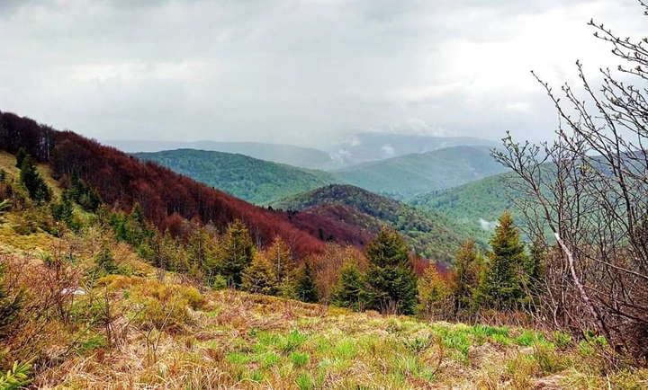 mountains