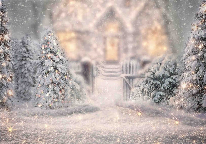 winter picture