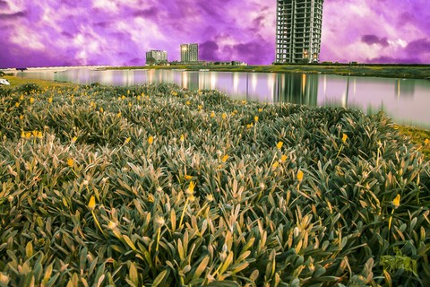 miami