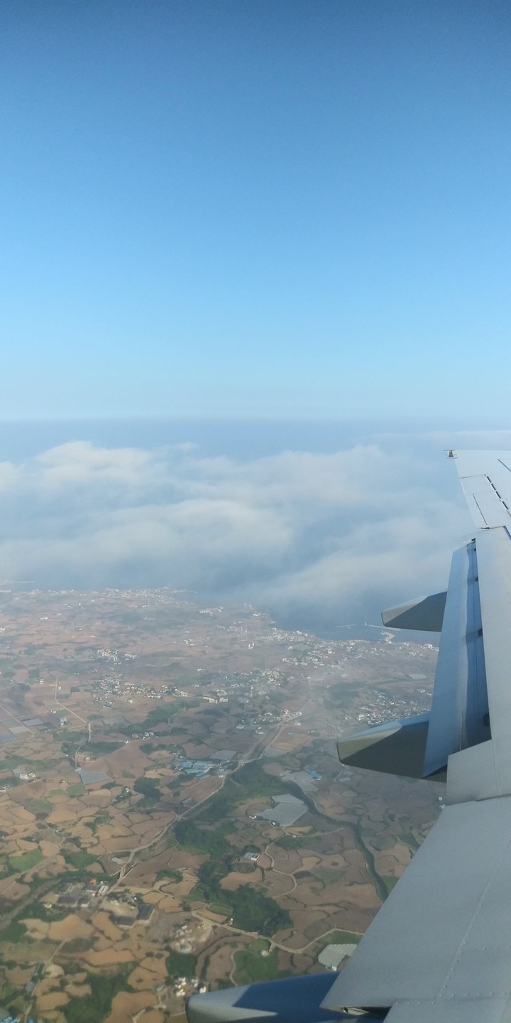 flight
