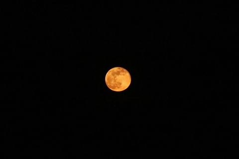 moon ?
