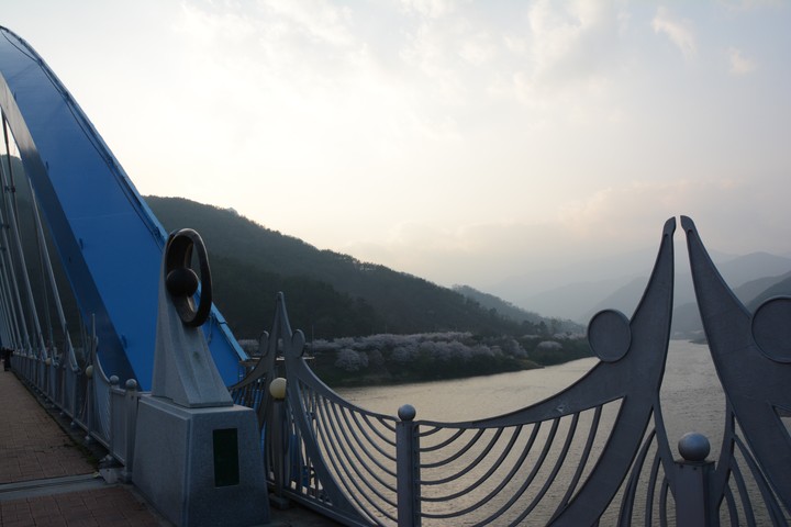 구례의봄이미지